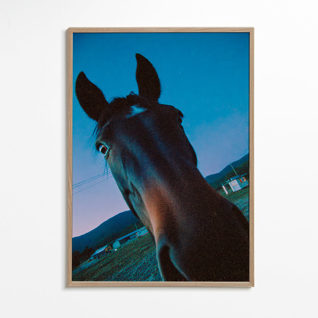 Œuvre cheval gros plan nocturne
