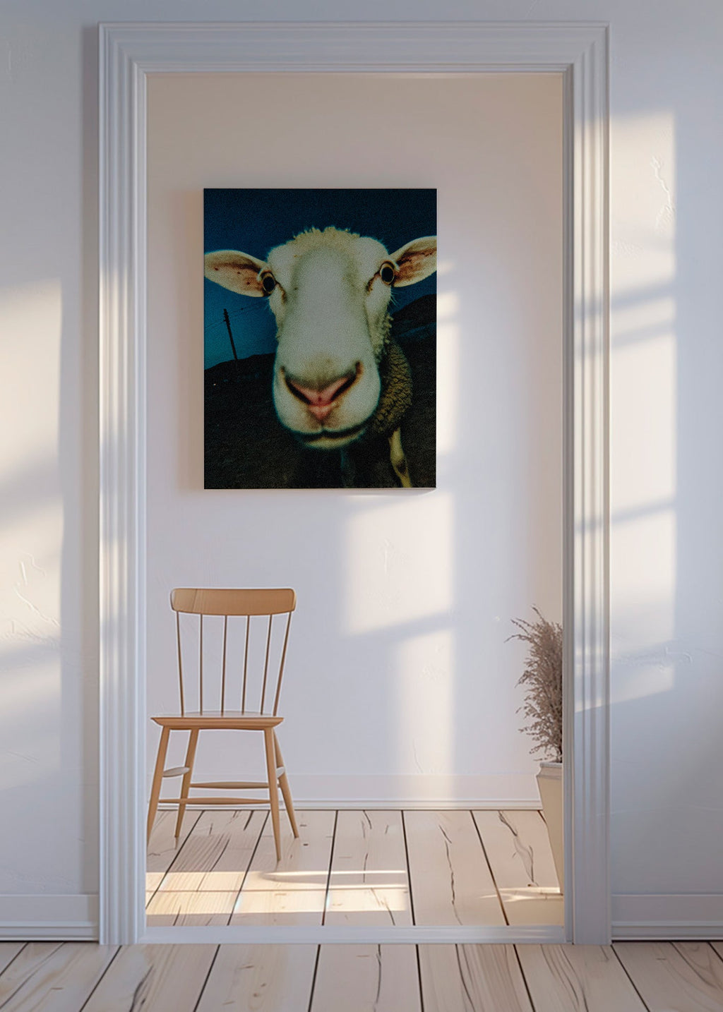 Portrait de mouton en gros plan