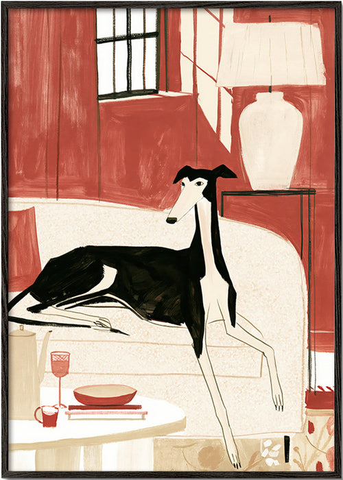 Galgo illustratie op bank