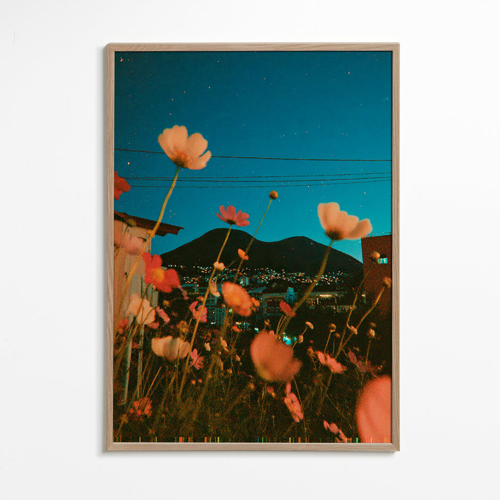 Impression botanique de fleurs silvestres al coucher