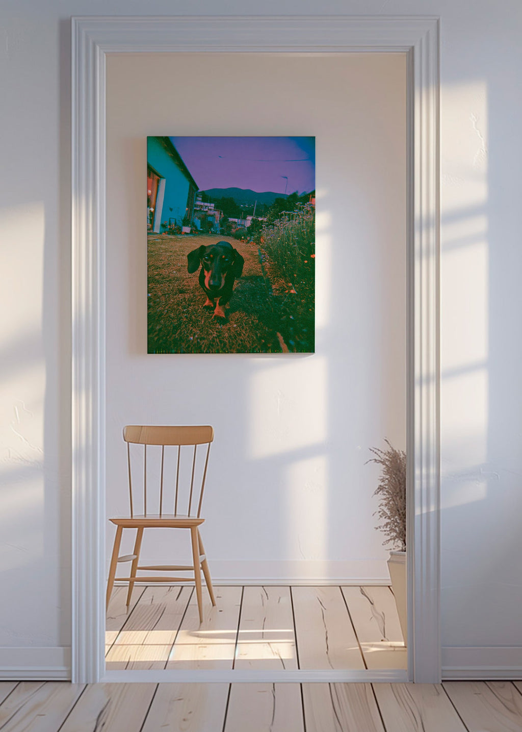 Hond bij schemering foto
