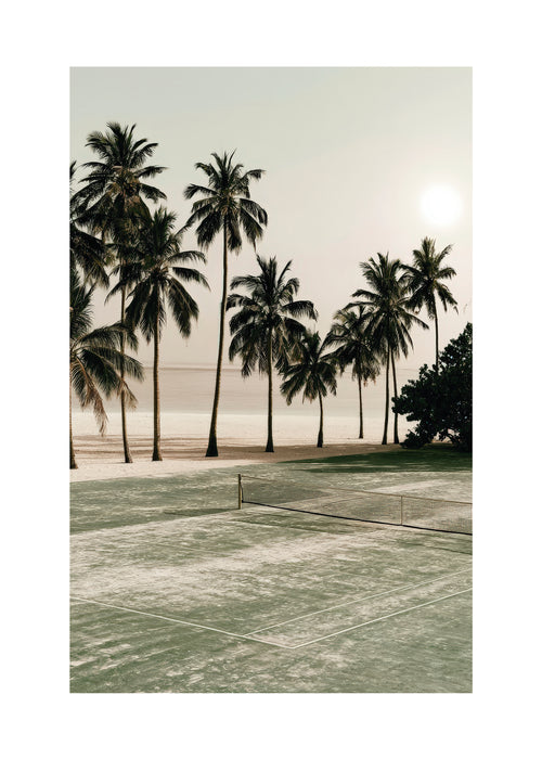 Palm Shadows - Unframed art print