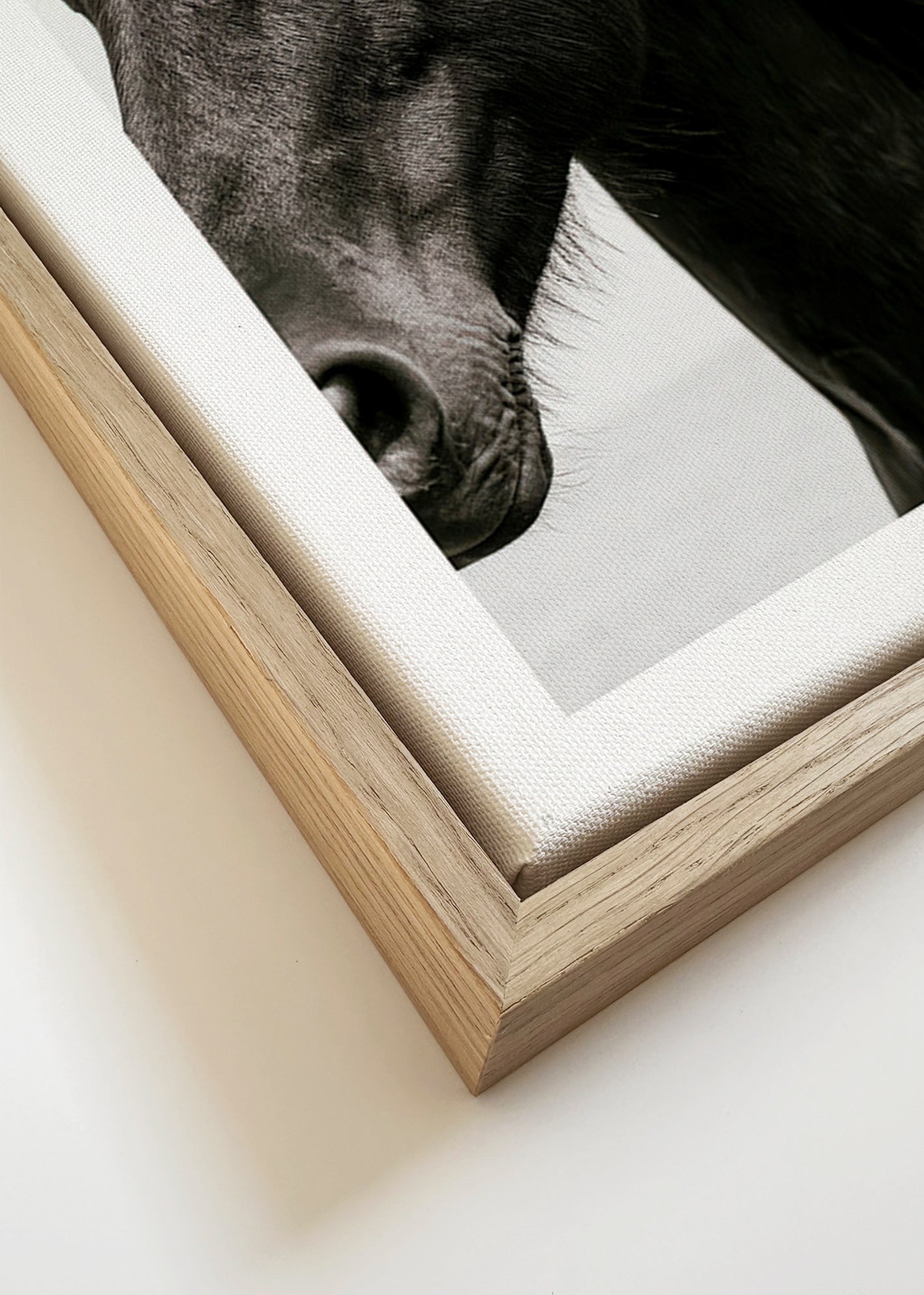 Paardenportret in close-up