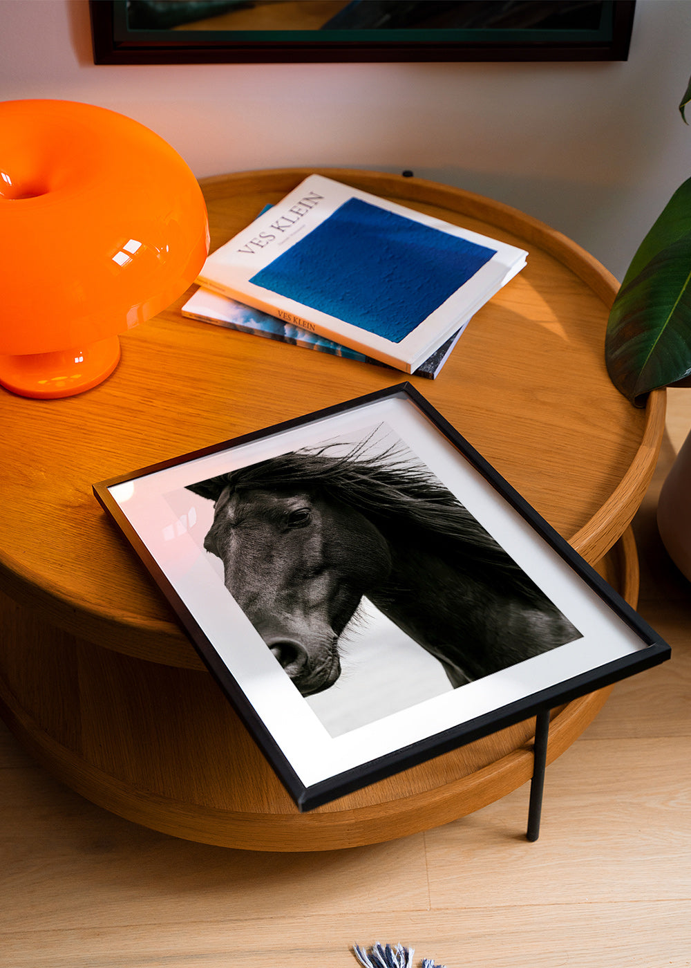 Paardenportret in close-up