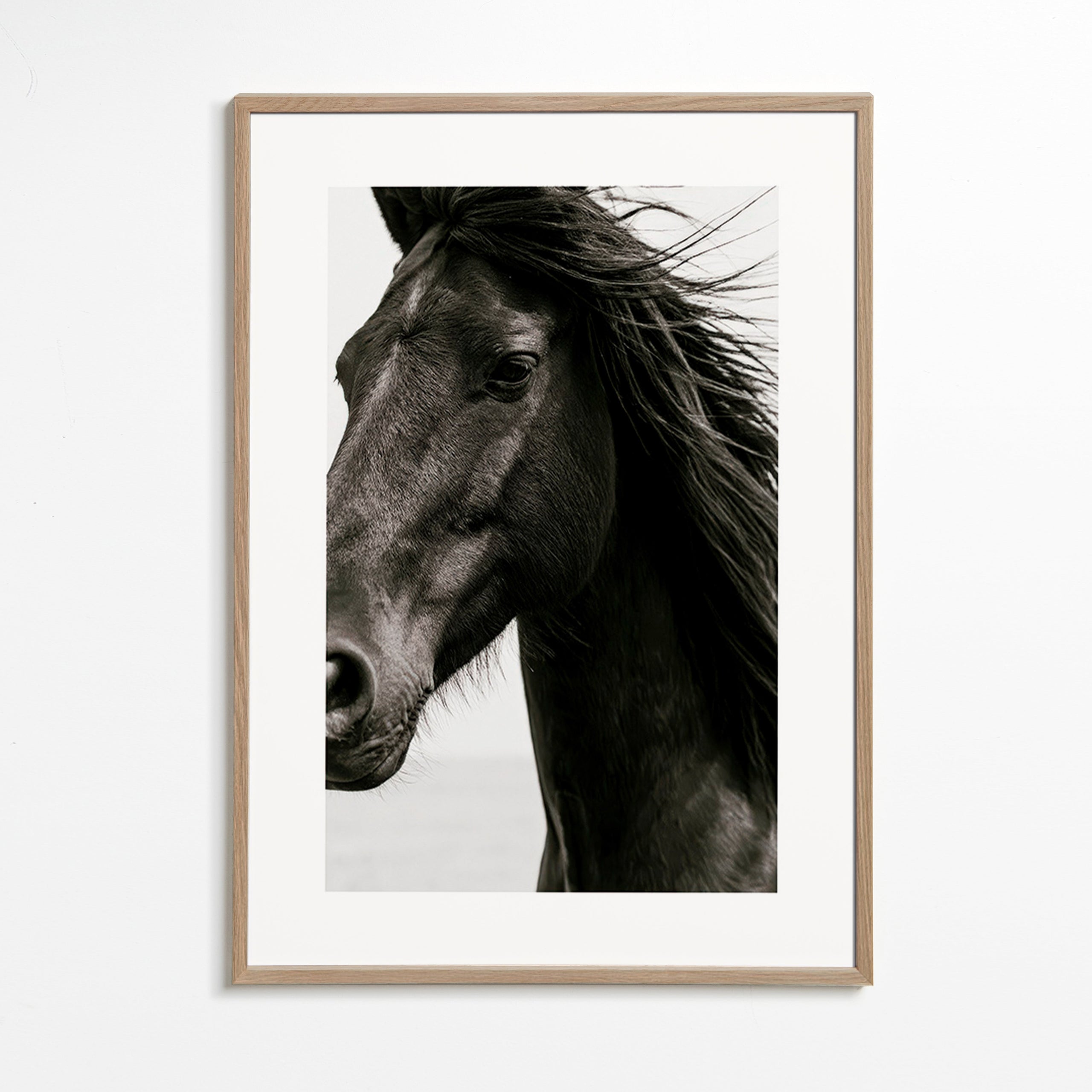 Paardenportret in close-up