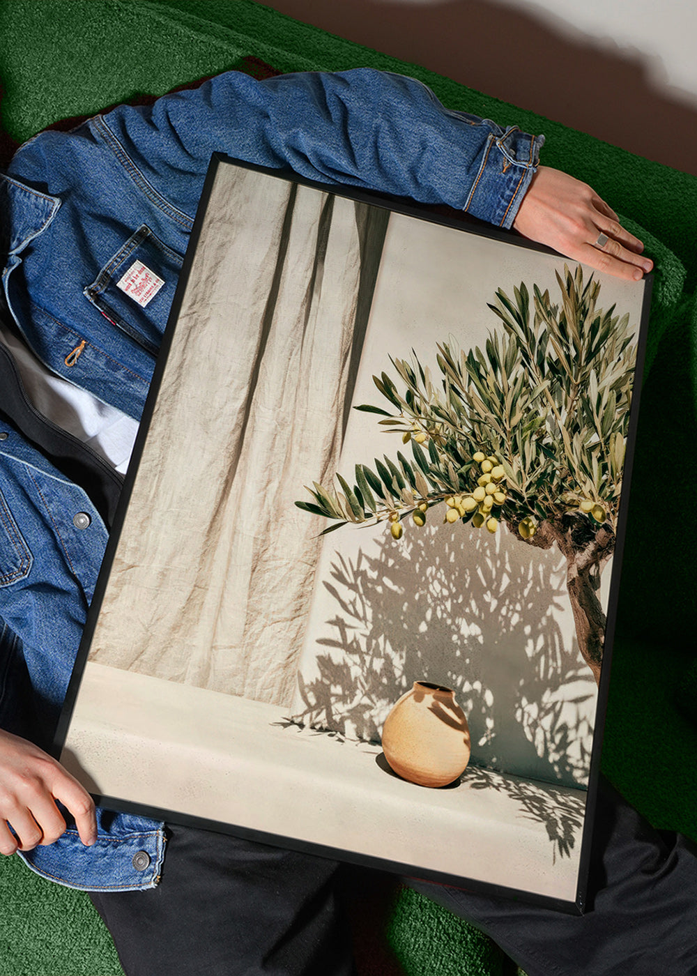 Botanical print olive branch de