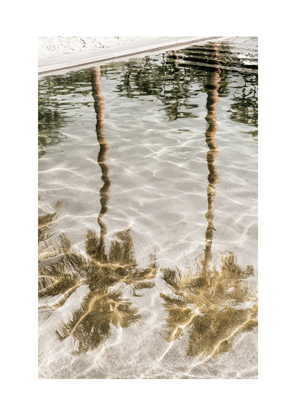 Landschap kunst met palmenreflecties
