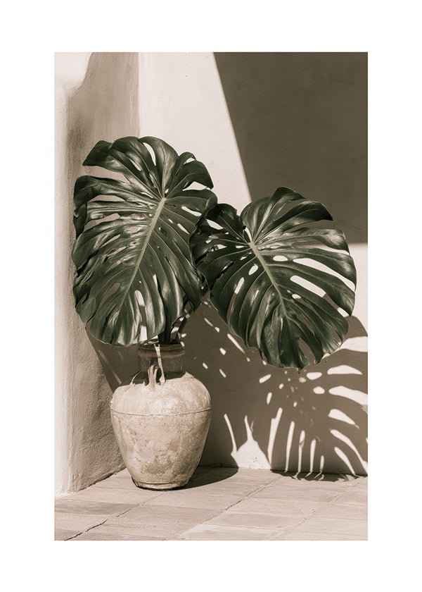 Botanischer Druck Monstera im Topf