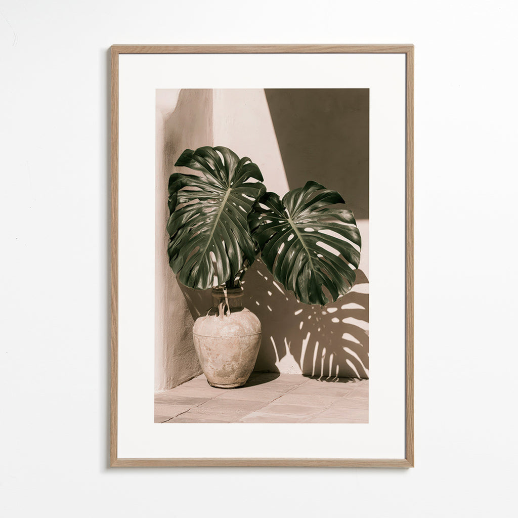 Botanischer Druck Monstera im Topf