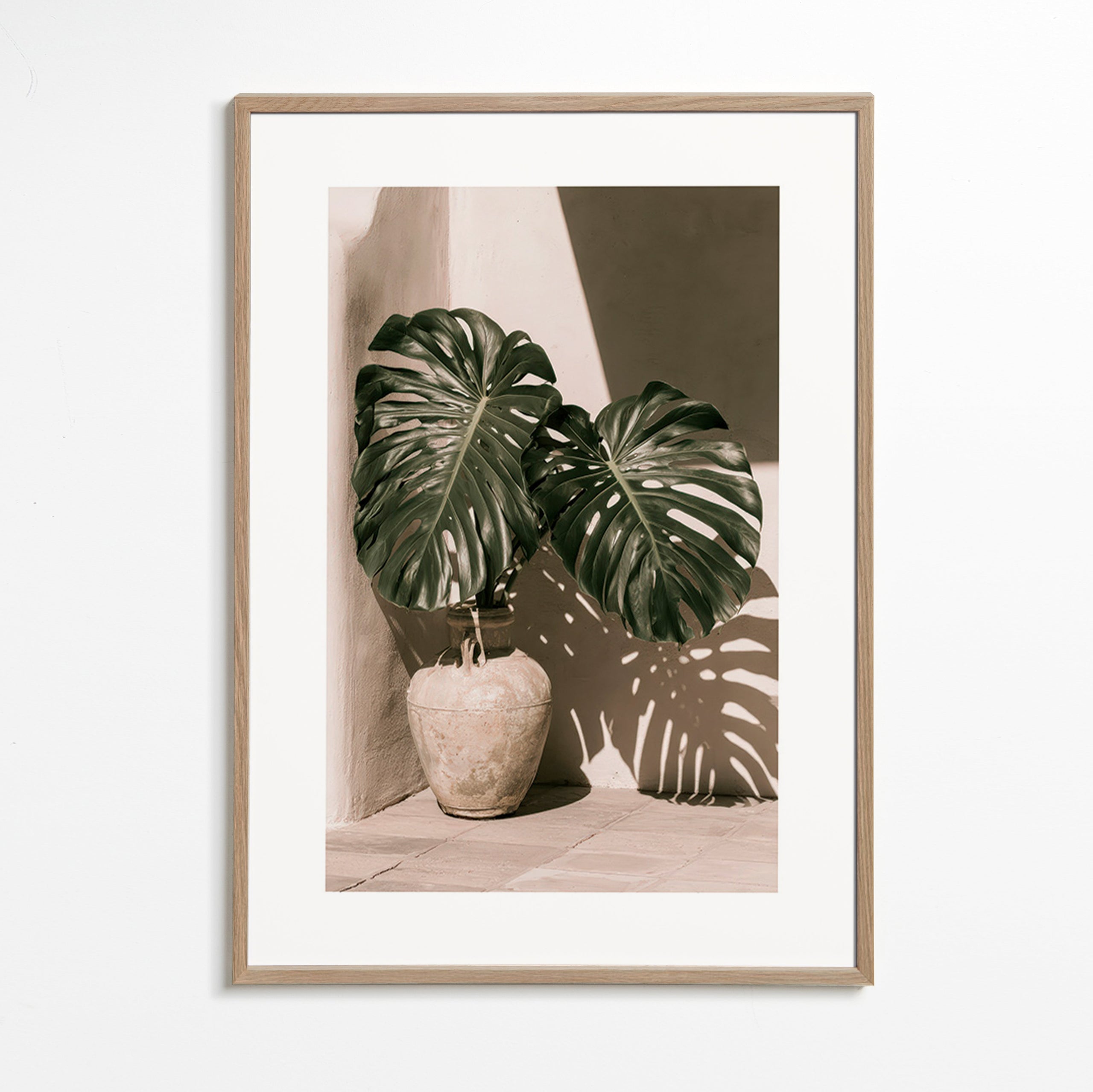 Botanischer Druck Monstera im Topf